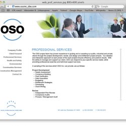 OSO Website design